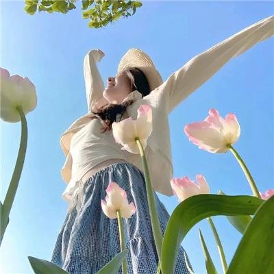 白云斋怪话